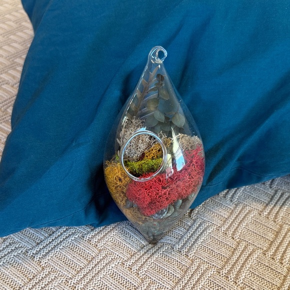 Glass Teardrop Hanging Terrarium with Red, Yellow, and Green Moss - Picture 8 of 10